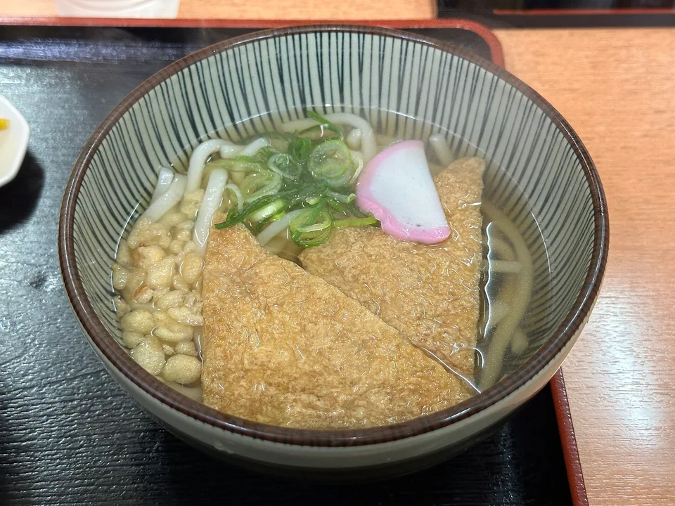 Real photograph of kitsune udon in clear broth with large seasoned fried-tofu pouches, pink-white narutomaki, sliced scallions and tenkasu.