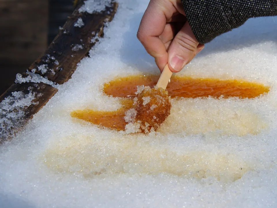 Amber maple taffy rolled onto wooden sticks over clean snow