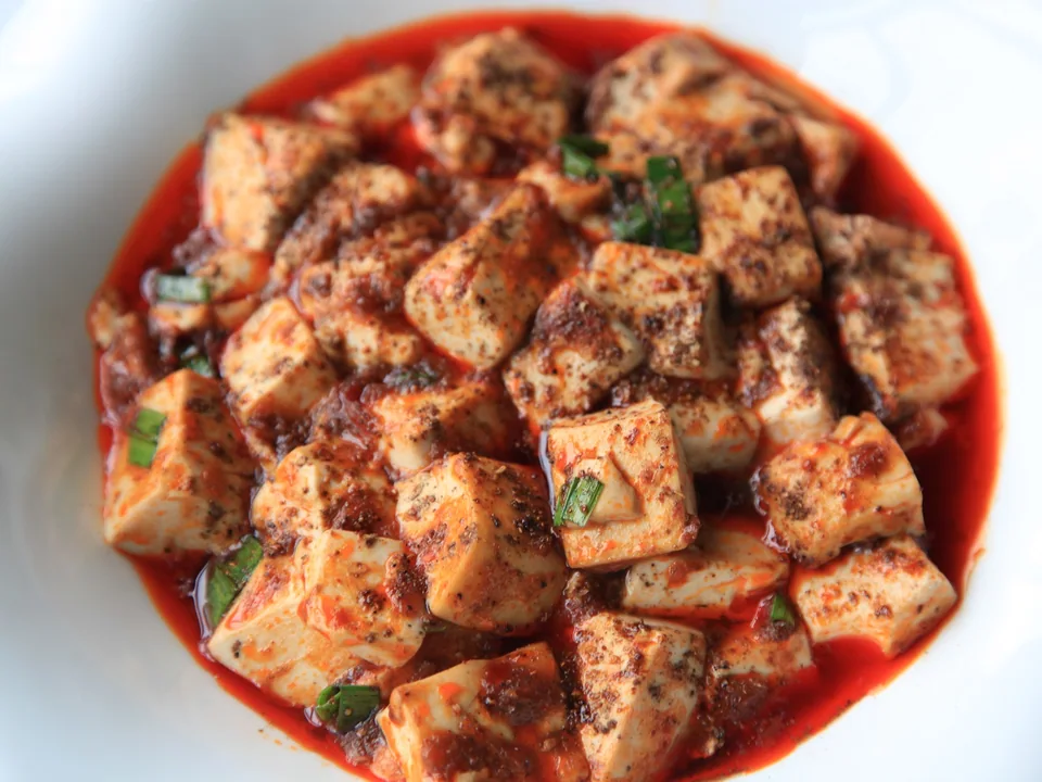 Mapo tofu with intact tofu cubes, minced pork, red chile sauce, and scallions in a shallow bowl
