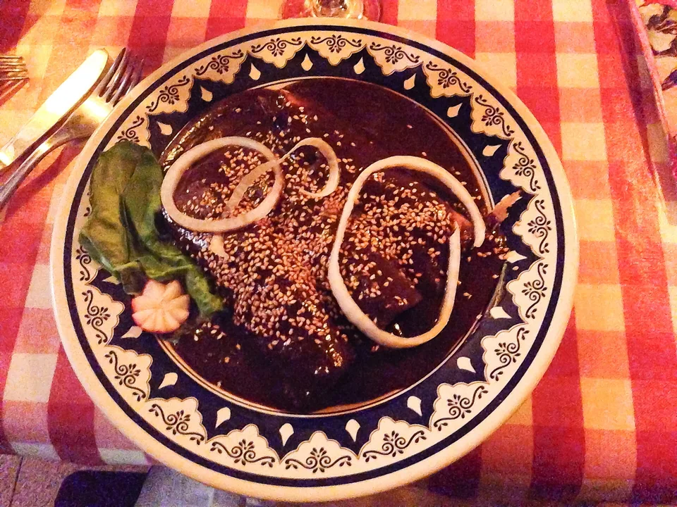 Chicken in dark glossy mole poblano sprinkled with sesame