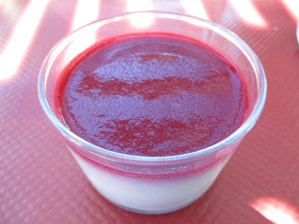 Smooth vanilla panna cotta dome with fine vanilla specks