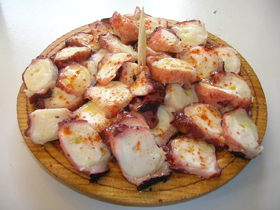 Galician octopus over potato rounds with paprika, coarse salt and olive oil