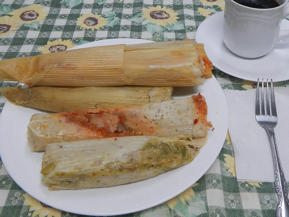 Green-salsa chicken tamal opened in its corn husk